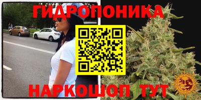 марихуана Малгобек