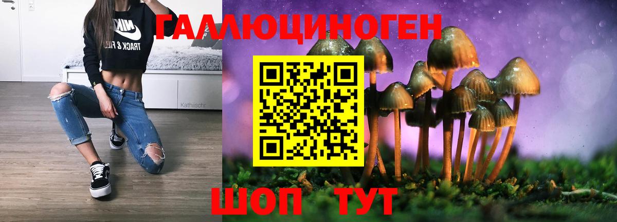 Галлюциногенные грибы ЛСД Грозный
